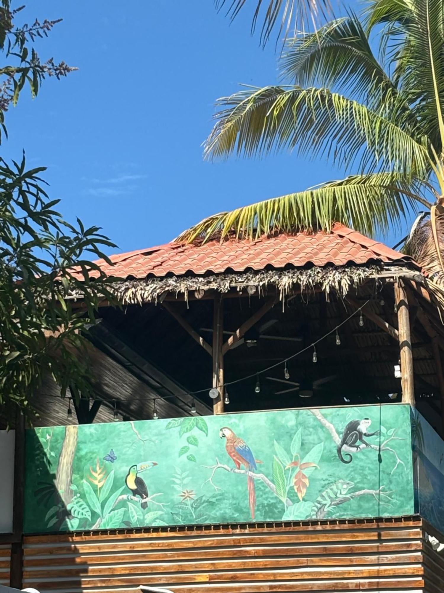 Quinta Esencia Brasilito Exterior foto
